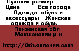 Пуховик размер 42-44 › Цена ­ 750 - Все города Одежда, обувь и аксессуары » Женская одежда и обувь   . Пензенская обл.,Мокшанский р-н